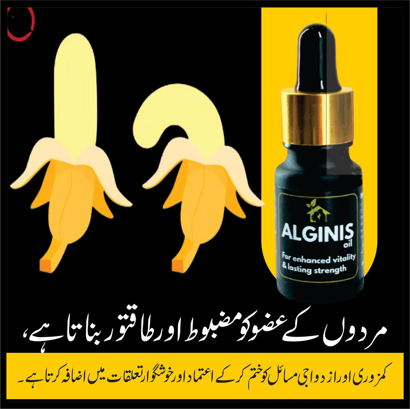 Alginis Oil®  – Herbal Erection & Growth Formula for Men